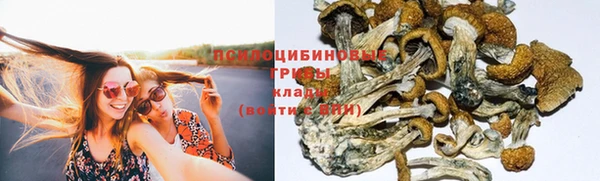 прущие крисы Алзамай