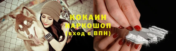 прущие крисы Алзамай