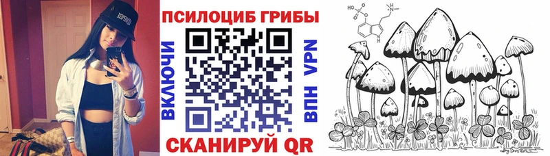 Псилоцибиновые грибы MAGIC MUSHROOMS  Углич 